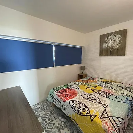 Apartment Blue Bay Les Pieds Dans L'eau - Face A La Saint-Cyprien (Pyrenees-Orientales)